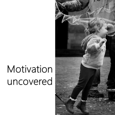 4 Essential Questions on Motivation 4 Essential Questions on Motivation