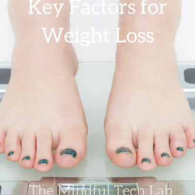 Key Factors for Weight Loss