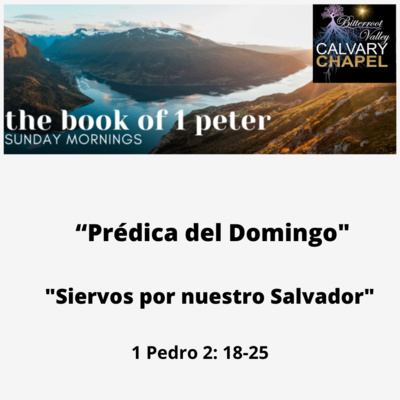 Prédica del Domingo "Siervos por nuestro Salvador " 1 Pedro 2: 18-25