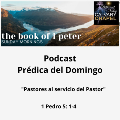 Prédica del Domingo “Pastores al Servicio del Pastor” 1 Pedro 5: 1-4