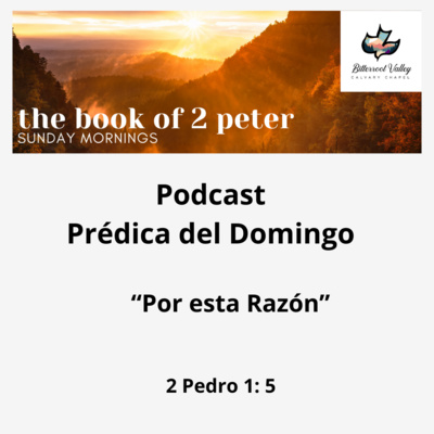 Prédica del Domingo "Por esta Razón” 2 Pedro 1: 5
