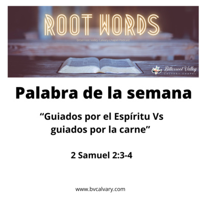 Palabra de la Semana “Guiados por el Espíritu versus guiados por la carne” 2 Samuel 2: 1-32