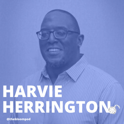 #15 The Power of Mindset with Harvie Herrington