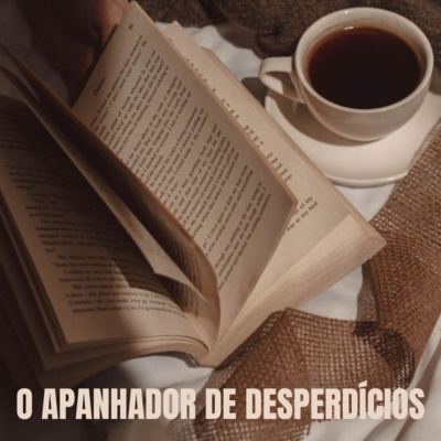 o apanhador de desperdícios, de manoel de barros