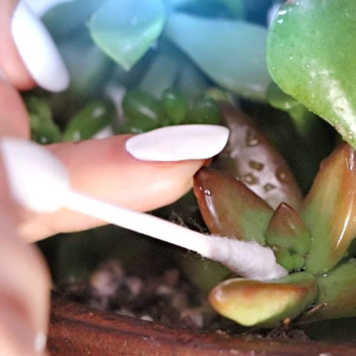 Slow Satisfying Snippets 🤏 ASMR • Hushed Whispers • Detail Oriented • Background Study Sounds