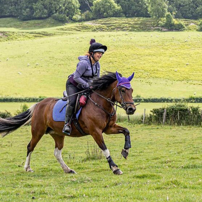 9 to 5 Rider Archive: Princess tiaras and the perfect pony