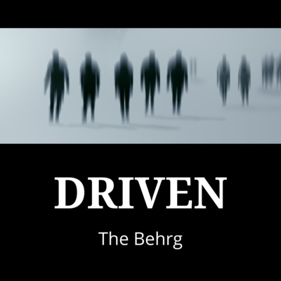 3. "DRIVEN" by The Behrg