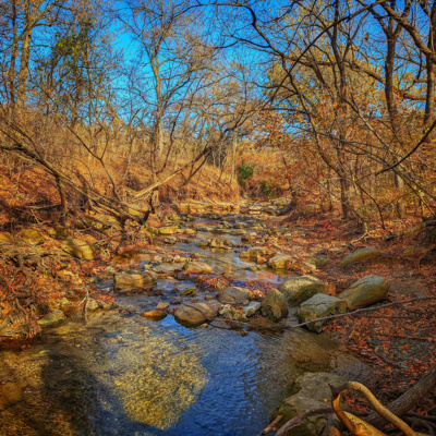 S2 E9 - Arbor Hills Nature Preserve S2 E9 - Arbor Hills Nature Preserve