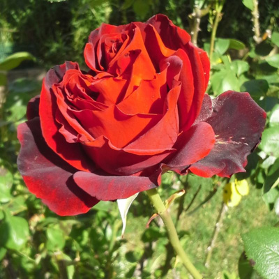 you\'re listening to radio revel