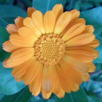 you\'re listening to radio revel