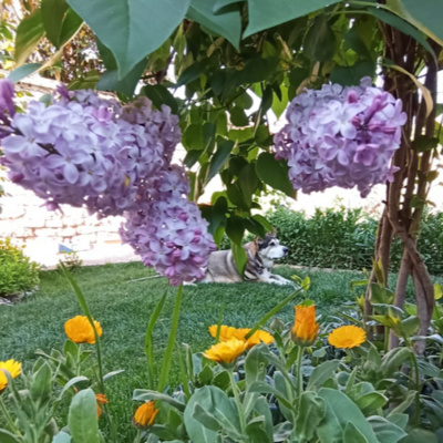 you\'re listening to radio revel