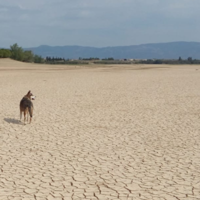 you\'re listening to radio revel