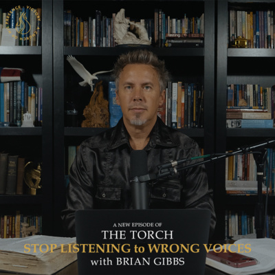 The Torch