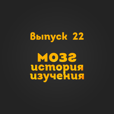 Выпуск 22: Мозг. История изучения