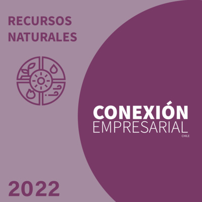 Conexión Empresarial Chile