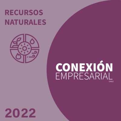 Conexión Empresarial Chile