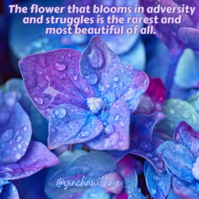 Episode 37: Who is the most important person in your life?