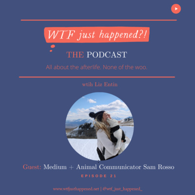 WTF Just Happened?!: All about the afterlife. No woo.