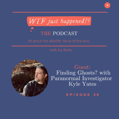 WTF Just Happened?!: All about the afterlife. No woo.