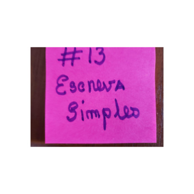 #13 Escreva Simples