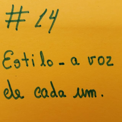 #14 Estilo - voz de cada um