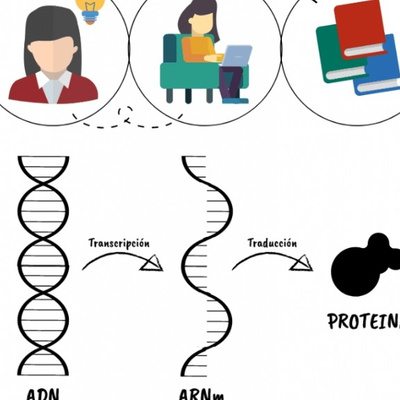 Dogma Central De La Biologia Molecular By La Quimica De La Vida A Podcast On Anchor