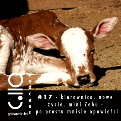 #17 - kierownica, nowe życie, mini Zebu - po prostu mnisie opowieści (vol. 4)