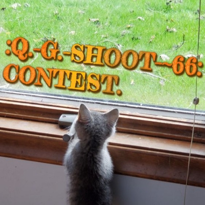 :QUANTUM-GRAMMAR-SHOOT.