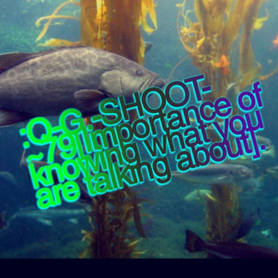 :QUANTUM-GRAMMAR-SHOOT.
