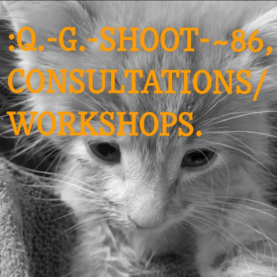 :QUANTUM-GRAMMAR-SHOOT.