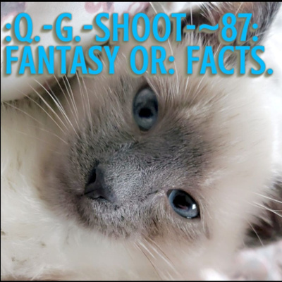 :QUANTUM-GRAMMAR-SHOOT.