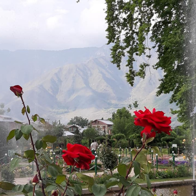 Syahdeepti Hindi Poetry Blog!