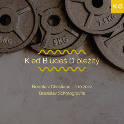 Keď Budeš Dôležitý - Branislav Schmogrovits episode artwork