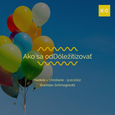 Ako sa oddôležitizovať - Branislav Schmogrovits episode artwork