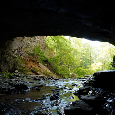 Currently playing episode