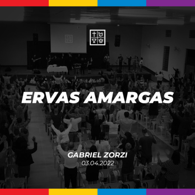 ERVAS AMARGAS // Gabriel Zorzi episode artwork