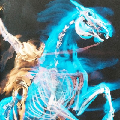 Chamber of Secrets: Chapter 8. The Deathday Party (cont.)