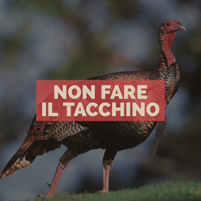 Non fare il tacchino