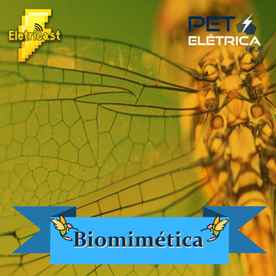 Eletricast #8 - Tecnologias inspiradas na natureza episode artwork