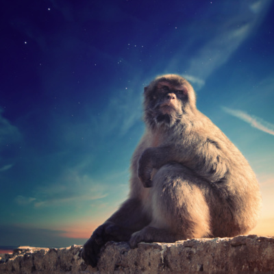 Lutung Kasarung episode artwork