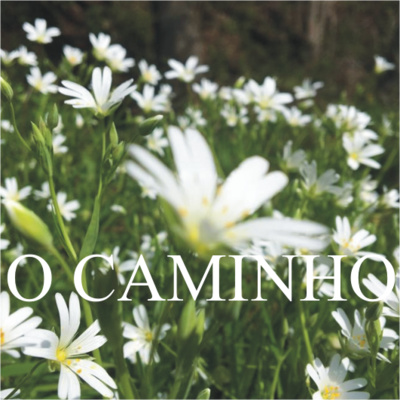 O Caminho
