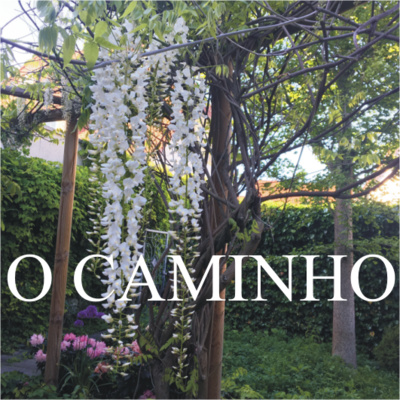 O Caminho