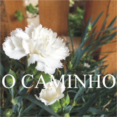 O Caminho