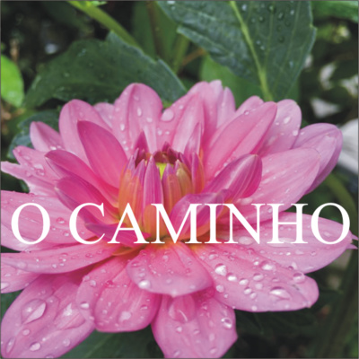 O Caminho