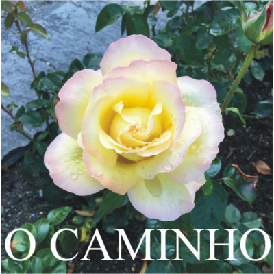 O Caminho