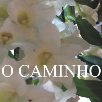 O Caminho