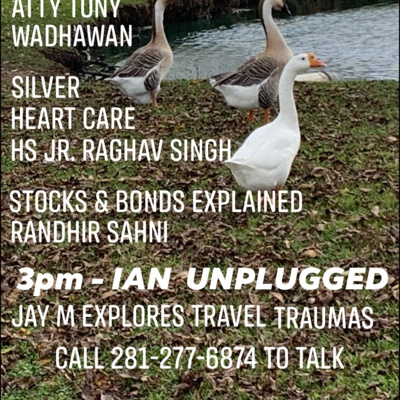 IAN Unplugged 2115 121121 Jay M. and Ricki Oberoi on Travel Related Traumas episode artwork
