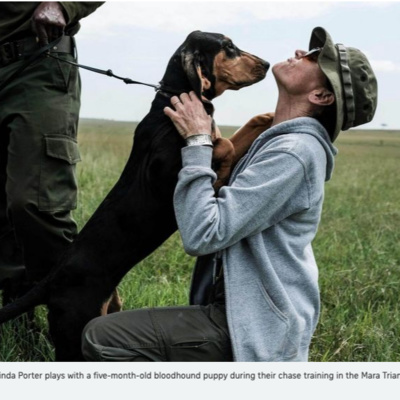 Anti-Poaching Dogs of Africa with Trainer Linda Porter