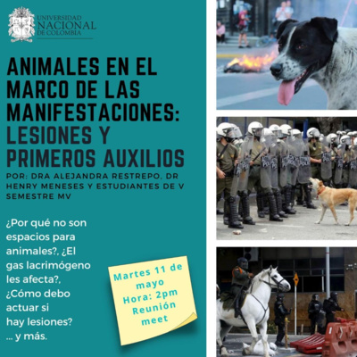 RADIO ANIMALISTA ACTIVISTA