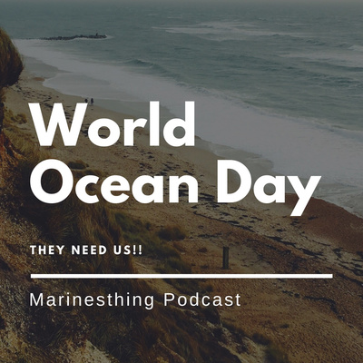 World Ocean Day...They need Us !!!